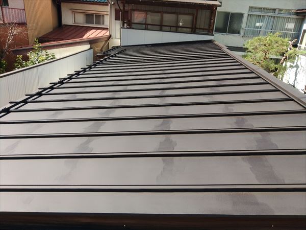 ｽｰﾊﾟｰｻﾞｳﾙｽ黒サビ